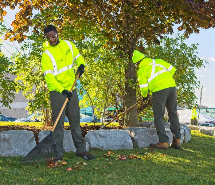 two people cleaning up leaves